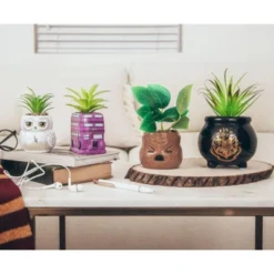 Silver Buffalo Harry Potter Knight Bus 3-Inch Ceramic Mini Planter With Artificial Succulent -Artificial Plant Shop GUEST 72f41217 5362 4692 b63a 2cad545fcdc5