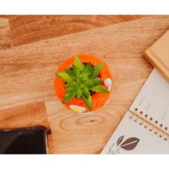 Nickelodeon Silver Buffalo SpongeBob Pineapple House 5-Inch Ceramic Planter With Artificial Succulent -Artificial Plant Shop GUEST 7934f043 22eb 4922 923a 07cc9bee088a