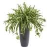 Nearly Natural 33-in Spider Artificial Plant In Cylinder Planter -Artificial Plant Shop GUEST 7ae799dd f88f 46a9 b505 f4c8323123d7