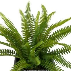 Northlight 20" Boston Fern Artificial Plant In Weathered Square Planter - Green/Gray -Artificial Plant Shop GUEST 7bb3f4ea caa1 4b99 8453 8baa76f93982
