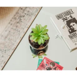 Silver Buffalo Harry Potter Hogwarts Cauldron Ceramic Mini Planter With Artificial Succulent -Artificial Plant Shop GUEST 7bbb01cb dbc4 4d55 8c3c e5898301ad3b