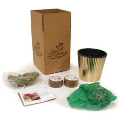 Amaryllis Pink Kit Minerva With Fluted Iron Faux Brass Planter - Van Zyverden -Artificial Plant Shop GUEST 8237be2b a7a5 4a9c afd1 1c00e129b095 3