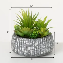 Sullivans Artificial Succulent In Cement Planter 6"H Green -Artificial Plant Shop GUEST 85268cda a12b 454c b4f2 bb17536087cc