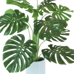 36" X 18" Artificial Monstera Plant In Ceramic Planter White - LCG Florals -Artificial Plant Shop GUEST 8668c71d d4bb 45e3 ada3 a90e10434c90
