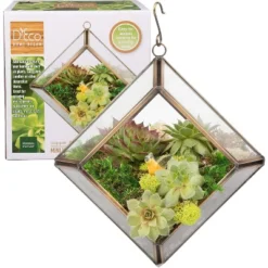 D'Eco Glass Mini Diamond Plant Terrarium (5 X 5 X 3.5") - Indoor Tabletop Copper Geometric Planter Holiday Decor - Christmas Gift For Plant Lovers -Artificial Plant Shop GUEST 897e7972 5ff8 4cc8 88d4 e338934378b6