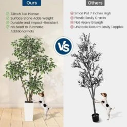 6ft Artificial Ficus Tree,Tall Faux Floor Plant With White Tall Planter White-Edged Leaves,Faux Greenery Tree For Garden Decor -Artificial Plant Shop GUEST 89bf38b2 f17d 41a8 8585 08dcadac7a97
