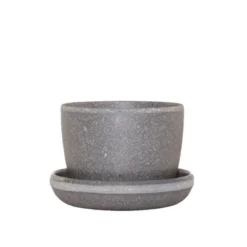 Ponytail Palm In 3" Planter - National Plant Network -Artificial Plant Shop GUEST 8ade5200 fb28 4556 9aad c659ecfc1e58