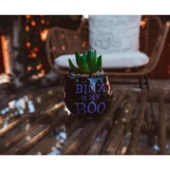 Silver Buffalo Disney Hocus Pocus "Binx Is My Boo" Ceramic Planter With Artificial Succulent -Artificial Plant Shop GUEST 8befd341 1d34 4d8d 828c 558261532501