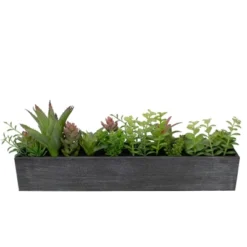 Northlight 23" Artificial Mixed Succulent Plants In A Rectangular Planter -Artificial Plant Shop GUEST 8ef18065 5d8e 48e4 9574 5da9f8739640
