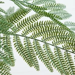 Nearly Natural 6-ft Artificial Jacaranda Tree In White Decorative Planter -Artificial Plant Shop GUEST 8f29c2fc eeb4 41e5 a454 6b4c0288d36f