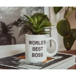 Silver Buffalo The Office "World's Best Boss" 3-Inch Ceramic Mini Planter With Artificial Succulent -Artificial Plant Shop GUEST 8fc8bacc ab51 41b3 a0ed a5da96969a82