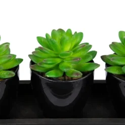 Northlight Mini Artificial Potted Succulents With Wood Planter - 5" - Set Of 3 -Artificial Plant Shop GUEST 90905cf3 3176 4ed5 99a9 d98fb835e02f