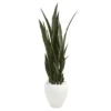 Nearly Natural 51” Sansevieria Artificial Plant In White Planter -Artificial Plant Shop GUEST 94d2885d 537d 4fd4 b2a1 a0bedd26803e