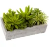 Nearly Natural Succulent Garden With Concrete Planter
