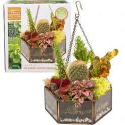 D'Eco Glass Geometric DIY Terrarium, Succulent & Air Plant- Hanging Mini Hexagon Shaped For Indoor Gardening Decor- Create Your Own Centerpiece -Artificial Plant Shop GUEST 9751dcef 889b 4e36 967e cdfcbad00474