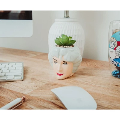 Silver Buffalo The Golden Girls Dorothy 3-Inch Ceramic Mini Planter With Artificial Succulent 5 Silver Buffalo The Golden Girls Dorothy 3-Inch Ceramic Mini Planter With Artificial Succulent - Image 3