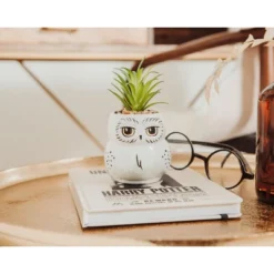 Silver Buffalo Harry Potter Hedwig 3-Inch Ceramic Mini Planter With Artificial Succulent -Artificial Plant Shop GUEST 9f5c84a2 adf7 4126 ad6a 0dcb28c52f15
