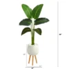 Nearly Natural 5-ft Travelers Palm Artificial Plant In White Planter With Stand (Real Touch) -Artificial Plant Shop GUEST a1fa556c 5436 4183 81aa 3c5cac4ca59d