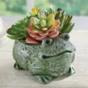Collections Etc Charming Frog Planter With Artificial Succulents 6 X 5 X 4.5 -Artificial Plant Shop GUEST a2796d20 c75f 411d bbb4 1486d1fd10f9