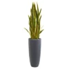 Nearly Natural 4.5-ft Artificial Sansevieria Snake Plant In Gray Planter -Artificial Plant Shop GUEST a2ff45d2 3507 4999 8684 6f7b5304263b