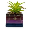 Silver Buffalo Harry Potter Book Stack 3-Inch Ceramic Planter With Artificial Succulent -Artificial Plant Shop GUEST a36dc9f6 872f 4ff9 a193 cf0f0009c302