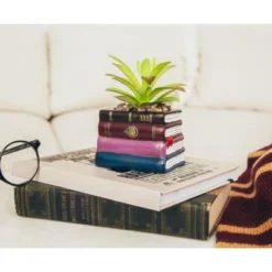 Silver Buffalo Harry Potter Book Stack 3-Inch Ceramic Planter With Artificial Succulent -Artificial Plant Shop GUEST ab605320 5c19 41dd 9140 1697d120a9a5