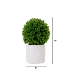 Nearly Natural 10-in Artificial Boxwood Topiary Plant With Decorative Planter -Artificial Plant Shop GUEST acee93a7 3ab4 4157 b263 9601ba64266a