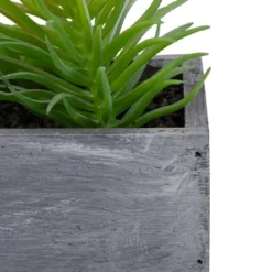 Northlight 12" Artificial Mixed Succulent Plants In A Rectangular Planter -Artificial Plant Shop GUEST b082e321 68c6 4a6d 9584 3672f07fc35e