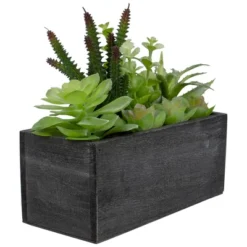 Northlight 10" Artificial Mixed Succulent Plants In A Rectangular Planter -Artificial Plant Shop GUEST b22d7ae8 6d60 44b9 94f3 573e8677914c