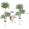 Artificial Ficus Tree, Tall Faux Plant With White Tall Planter, Faux Greenery Tree With Natural Trunks & White-Edged Leaves For Home Decor -Artificial Plant Shop GUEST b426212f 0235 4a86 9499 efa914811106
