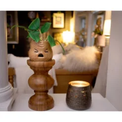 Silver Buffalo Harry Potter Mandrake Face 6-Inch Ceramic Planter With Artificial Succulent -Artificial Plant Shop GUEST b9cf1ff5 7e00 4fe2 839b 664d2917b99e