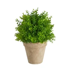 Nearly Natural 8-in Boxwood Artificial Plant In Decorative Planter 9 Nearly Natural 8-in Boxwood Artificial Plant In Decorative Planter -Artificial Plant Shop GUEST bc5d115f 6098 4a9b 8909 4beadfc4c52e