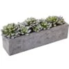 Nearly Natural Succulent Garden With Textured Concrete Planter