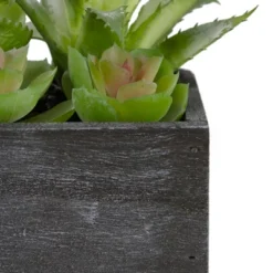 Northlight 10" Artificial Mixed Succulent Plants In A Rectangular Planter -Artificial Plant Shop GUEST be6fa5e7 6760 48ab a8b5 3879443f26af