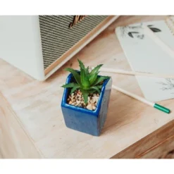 Silver Buffalo Disney Atlantis: The Lost Empire Stone Face 4-Inch Ceramic Mini Planter 10 Silver Buffalo Disney Atlantis: The Lost Empire Stone Face 4-Inch Ceramic Mini Planter -Artificial Plant Shop GUEST beec8d8e c254 4f4b af4b fb063bf1c703