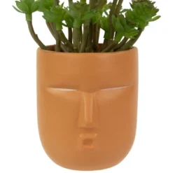 Northlight 5.5" Mini Artificial Succulent In Face Planter Pot -Artificial Plant Shop GUEST c1f98d74 5ae9 4df7 a367 866022fcc6ce