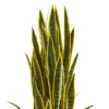 42" X 12" Artificial Sansevieria Plant In Slate Planter Gray - Nearly Natural -Artificial Plant Shop GUEST c1fb6470 db8a 4538 8efb 0fdc64166d1a