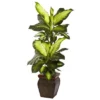 Nearly Natural 45-in Golden Dieffenbachia W/Decorative Planter -Artificial Plant Shop GUEST c2b65d8c 5a75 41ec a2f2 401f9c5998b6