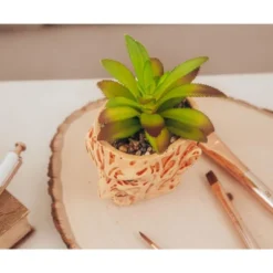 Silver Buffalo A Nightmare On Elm Street Freddy Krueger Ceramic Planter W/ Artificial Succulent 10 Silver Buffalo A Nightmare On Elm Street Freddy Krueger Ceramic Planter W/ Artificial Succulent -Artificial Plant Shop GUEST c3ce35e4 b009 40aa 8c6f dbd5654b9c6d