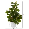 Nearly Natural 16-in Peperomia Artificial Plant In Decorative Planter -Artificial Plant Shop GUEST c40aec66 344d 48e4 a626 3aa0f841e09f