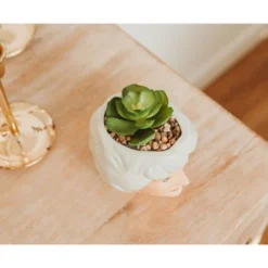 Silver Buffalo The Golden Girls Dorothy 3-Inch Ceramic Mini Planter With Artificial Succulent 10 Silver Buffalo The Golden Girls Dorothy 3-Inch Ceramic Mini Planter With Artificial Succulent -Artificial Plant Shop GUEST c6457927 0bfc 4ba4 ad47 f70d019772f9