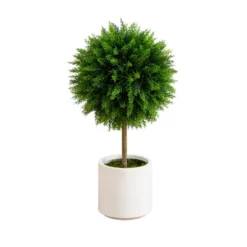 Nearly Natural 2.5-ft UV Resistant Artificial Cedar Ball Topiary Tree In White Decorative Planter (Indoor/Outdoor) -Artificial Plant Shop GUEST c6b34229 f339 4a89 9e99 90843d3ae03e