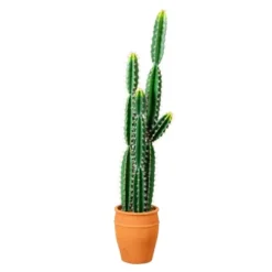 Nearly Natural 5-ft Artificial Cactus In Terracotta Planter -Artificial Plant Shop GUEST c8286775 5fa6 4da6 b661 ebbfabc4a81d