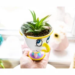 Silver Buffalo Disney Beauty And The Beast Chip 3-Inch Mini Planter With Artificial Succulent -Artificial Plant Shop GUEST cb709cfc b042 4662 a619 e28763af04b1