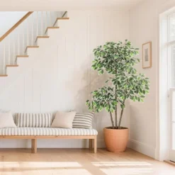 Artificial Ficus Tree, Tall Faux Plant With White Tall Planter, Faux Greenery Tree With Natural Trunks & White-Edged Leaves For Home Decor -Artificial Plant Shop GUEST cd468f6c 6828 4183 97d2 451c2514ff0d