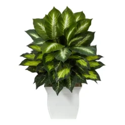 Nearly Natural 2-ft Golden Dieffenbachia Artificial Plant In White Metal Planter -Artificial Plant Shop GUEST cd4c7c19 6990 4767 aefd cc63807b23e3