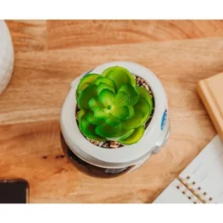 Silver Buffalo NASA Space Helmet 6-Inch Ceramic Planter With Artificial Succulent -Artificial Plant Shop GUEST cd86588e a44a 4f50 b22e cb1849b40e2b