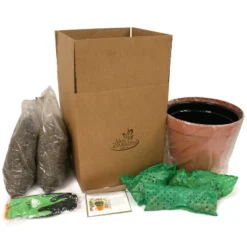 Van Zyverden 46ct Bulbs Multicolored Unison Spring Blooming Patio Planter Set -Artificial Plant Shop GUEST d254073f 3f70 4727 bead b60bbbdbc96b