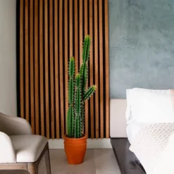 Nearly Natural 5-ft Artificial Cactus In Terracotta Planter -Artificial Plant Shop GUEST d3c2b5a6 4385 46a3 88bf 66f222aede58