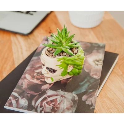 Silver Buffalo Beetlejuice Head 3-Inch Ceramic Mini Planter With Artificial Succulent 5 Silver Buffalo Beetlejuice Head 3-Inch Ceramic Mini Planter With Artificial Succulent - Image 3